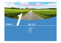 [경영학원론] 무선인터넷 콘텐츠 및 유무선 전화결제 기업(주)다날 기업분석 보고서(2009년기준)-2