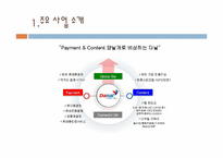 [경영학원론] 무선인터넷 콘텐츠 및 유무선 전화결제 기업(주)다날 기업분석 보고서(2009년기준)-14