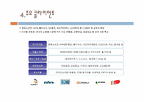 [경영학원론] 무선인터넷 콘텐츠 및 유무선 전화결제 기업(주)다날 기업분석 보고서(2009년기준)-17