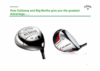 [국제경영] Callaway Golf Company 켈러웨이 골프 마케팅 전략(영문)-5