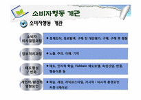 [소비자행동론] 소비자행동 개관과 관여도-3