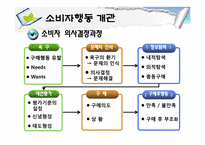 [소비자행동론] 소비자행동 개관과 관여도-4