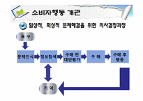 [소비자행동론] 소비자행동 개관과 관여도-5