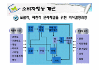 [소비자행동론] 소비자행동 개관과 관여도-6