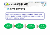 [소비자행동론] 소비자행동 개관과 관여도-7