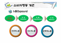 [소비자행동론] 소비자행동 개관과 관여도-8