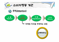 [소비자행동론] 소비자행동 개관과 관여도-9