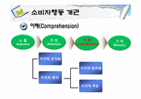 [소비자행동론] 소비자행동 개관과 관여도-11
