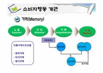 [소비자행동론] 소비자행동 개관과 관여도-12
