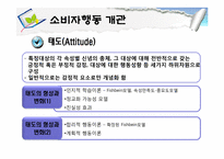 [소비자행동론] 소비자행동 개관과 관여도-14