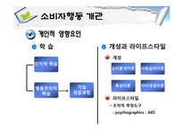 [소비자행동론] 소비자행동 개관과 관여도-15