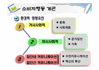 [소비자행동론] 소비자행동 개관과 관여도-16