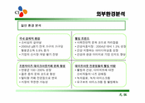 [마케팅] cj 신제품개발 과정-4