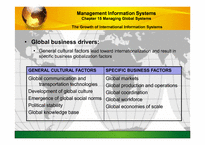 [경영정보] MIS(Managing Global Systems) 국제정보시스템에 대한 분석(영문)-8