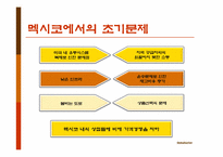 [국제경영] 국제화기업 성공사례 및 우리나라의 국제화 방안-7