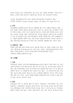 [독일문화의 이해] 독일의 생활문화-의식주와 일상생활-3