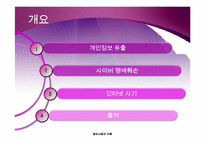 [정보사회의 이해] 인터넷 관련된 범죄들-인터넷 범죄실태-2