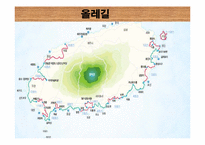 [관광학] 제주 올레길 코스 조사 및 발전방향 제시-3