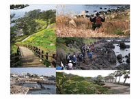 [관광학] 제주 올레길 코스 조사 및 발전방향 제시-6