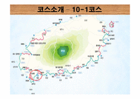 [관광학] 제주 올레길 코스 조사 및 발전방향 제시-9