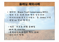 [관광학] 제주 올레길 코스 조사 및 발전방향 제시-19