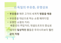 [독일 문화의 이해] 독일인의 생활 문화-9