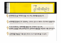 [현대사회문제] 성매매문제와 해결방안 제시(성매매 합법화 제안)-3