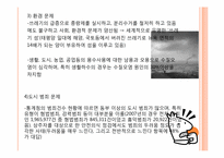 [현대사회와 사회학] 수도권 비대화와 세종시-5