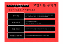 [문학입문] 정재은 감독 `고양이를 부탁해` 작품분석-20대 여성의 관점-7