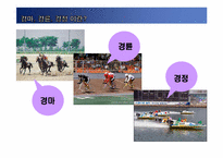 [스포츠산업개론] 스포츠 베팅산업-경주산업-5