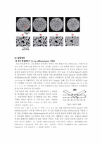 [신소재 공학] 시료 분말의 압축성형 및 소결과정 실험-4