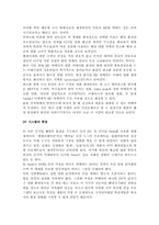 [정보통신] 디지털 영화의 기술적 변화와 기술의 실체 및 한계점-2