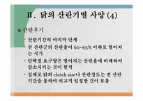 난생산 영양 레포트-7