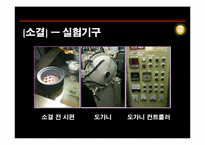 [신소재공학실험] 분말의 압축성형과 성형체 소결 원리 분석-12