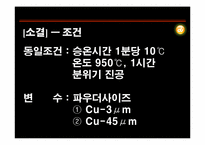 [신소재공학실험] 분말의 압축성형과 성형체 소결 원리 분석-13