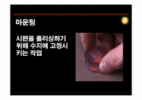 [신소재공학실험] 분말의 압축성형과 성형체 소결 원리 분석-19