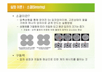 [신소재 공학] Sn sintering-분말 압축성형 및 소결에 따른 조직검사-4