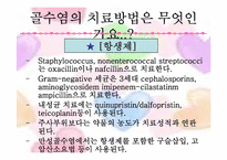 [성인간호] 골수염(Osteomyelites) PBL 사례보고서-18