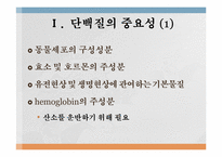 단백질과 대사작용-2