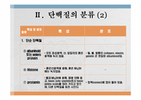 단백질과 대사작용-5