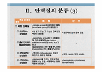 단백질과 대사작용-6