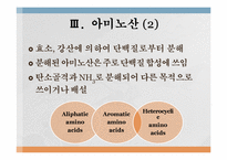 단백질과 대사작용-9