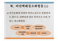 단백질과 대사작용-18