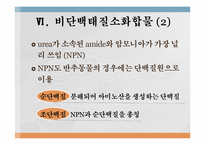 단백질과 대사작용-19