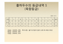 보경농장 현재와 미래-10