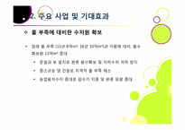 [4대강사업]4대강 사업에 대한 찬반양론 집중 분석 - 4대강 살리기 사업의 추진배경 및 효과 VS 4대강 사업의 문제점 및 한계, 부정적 영향-9