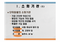 소화 및 흡수 레포트-2