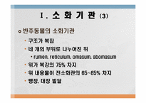 소화 및 흡수 레포트-4
