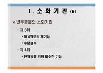 소화 및 흡수 레포트-6