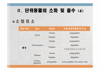 소화 및 흡수 레포트-11